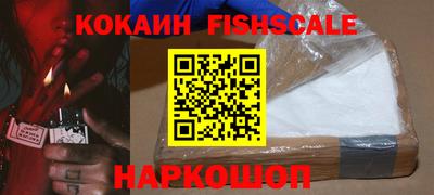 шишки Заволжье