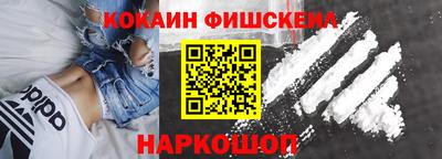 шишки Заволжье