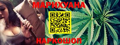 шишки Заволжье
