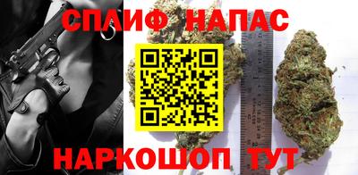 шишки Заволжье