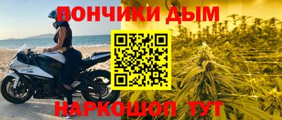 шишки Заволжье