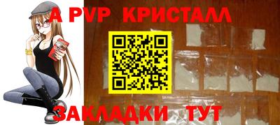 шишки Заволжье