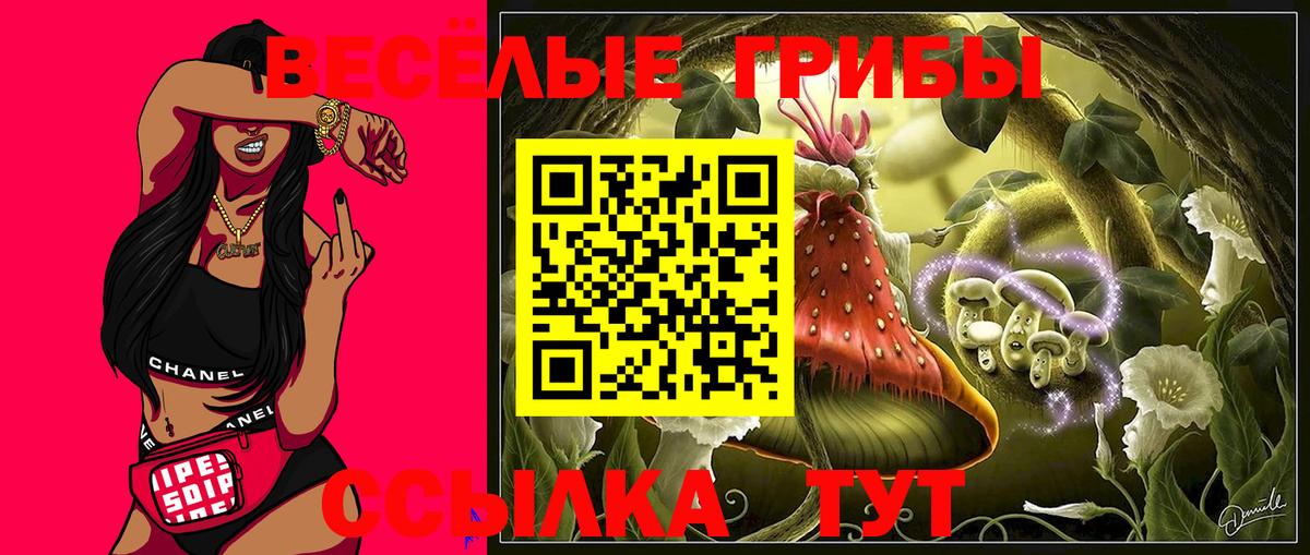 Псилоцибиновые грибы Magic Shrooms  где купить наркотик  Вход с VPN  Мелеуз  Псилоцибиновые грибы Cubensis 
